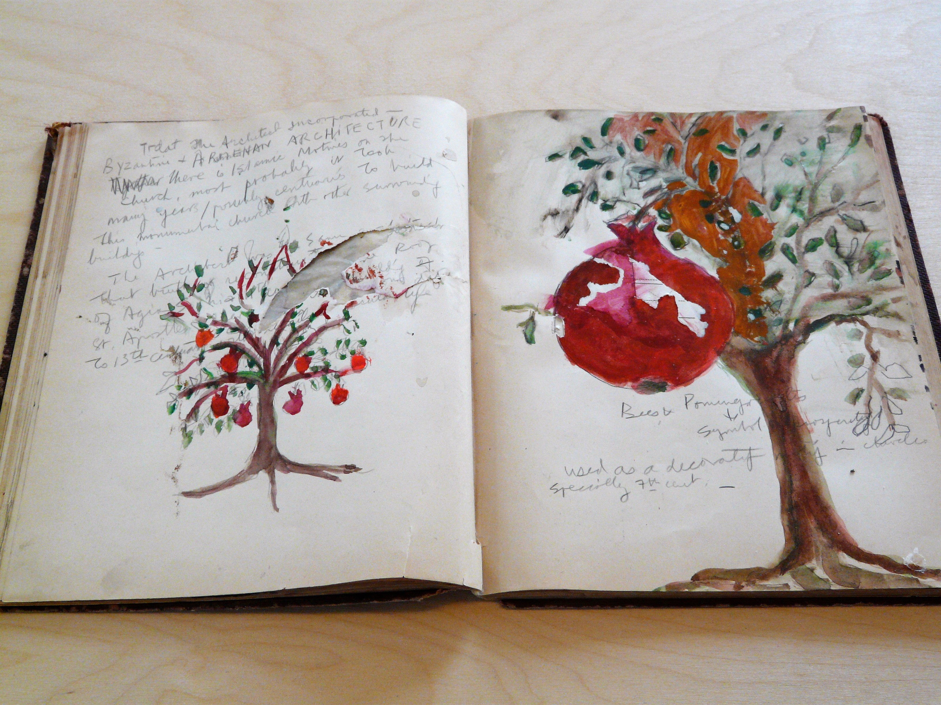 1981 - 1986 ZYX -XYZ libri i Melograno