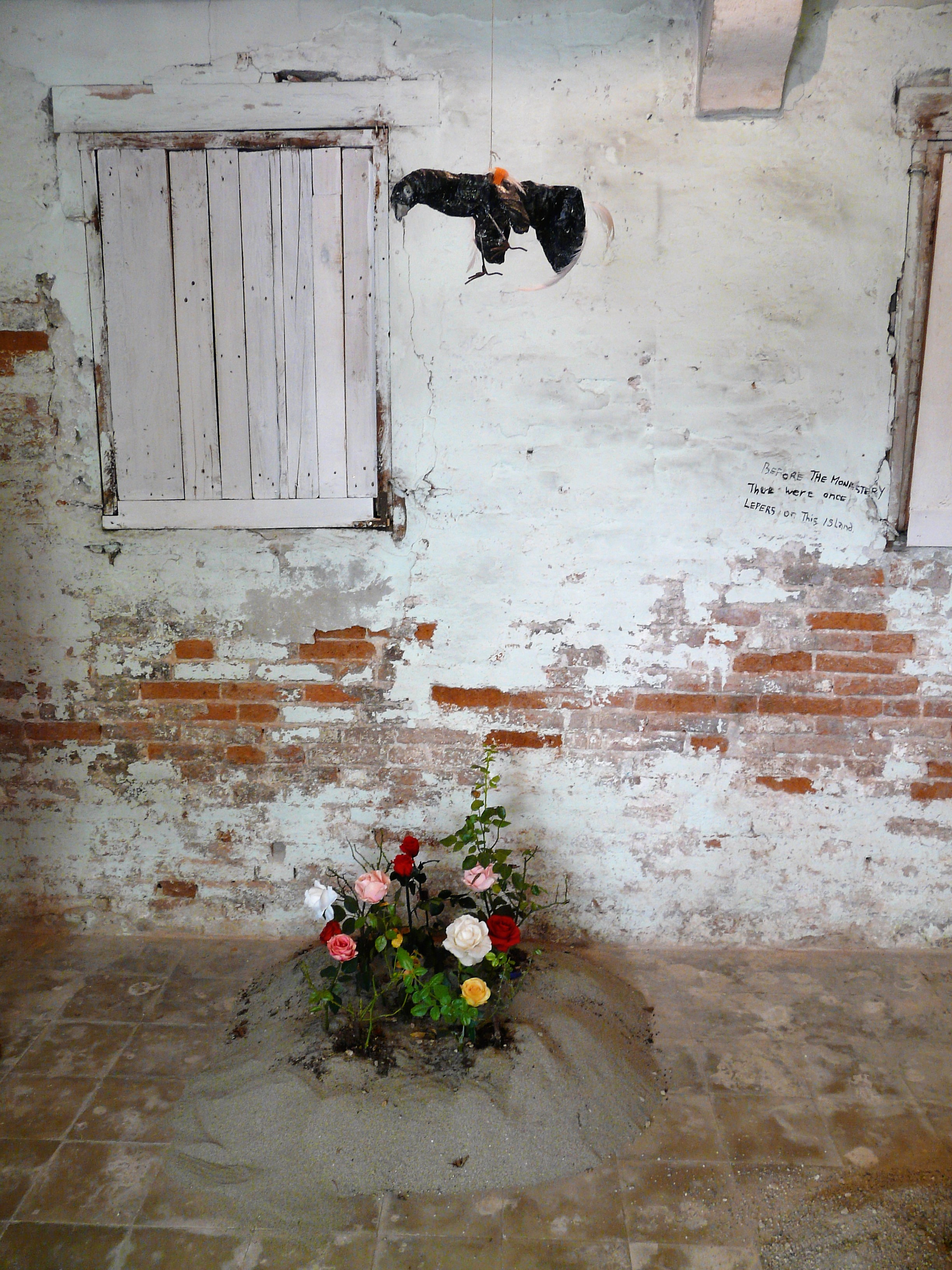 2015 Ani Biennale Venezia b