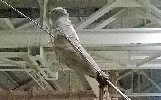 2015 Petrit Halilaj a